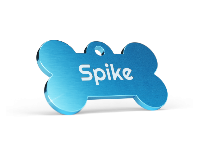 Bone-bluek-spike