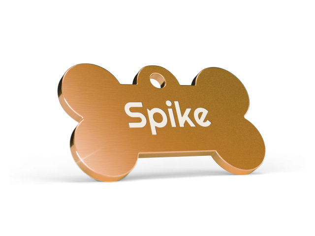 Bone-gold-spike