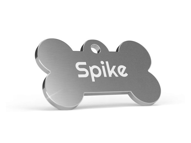 Bone-silver-spike